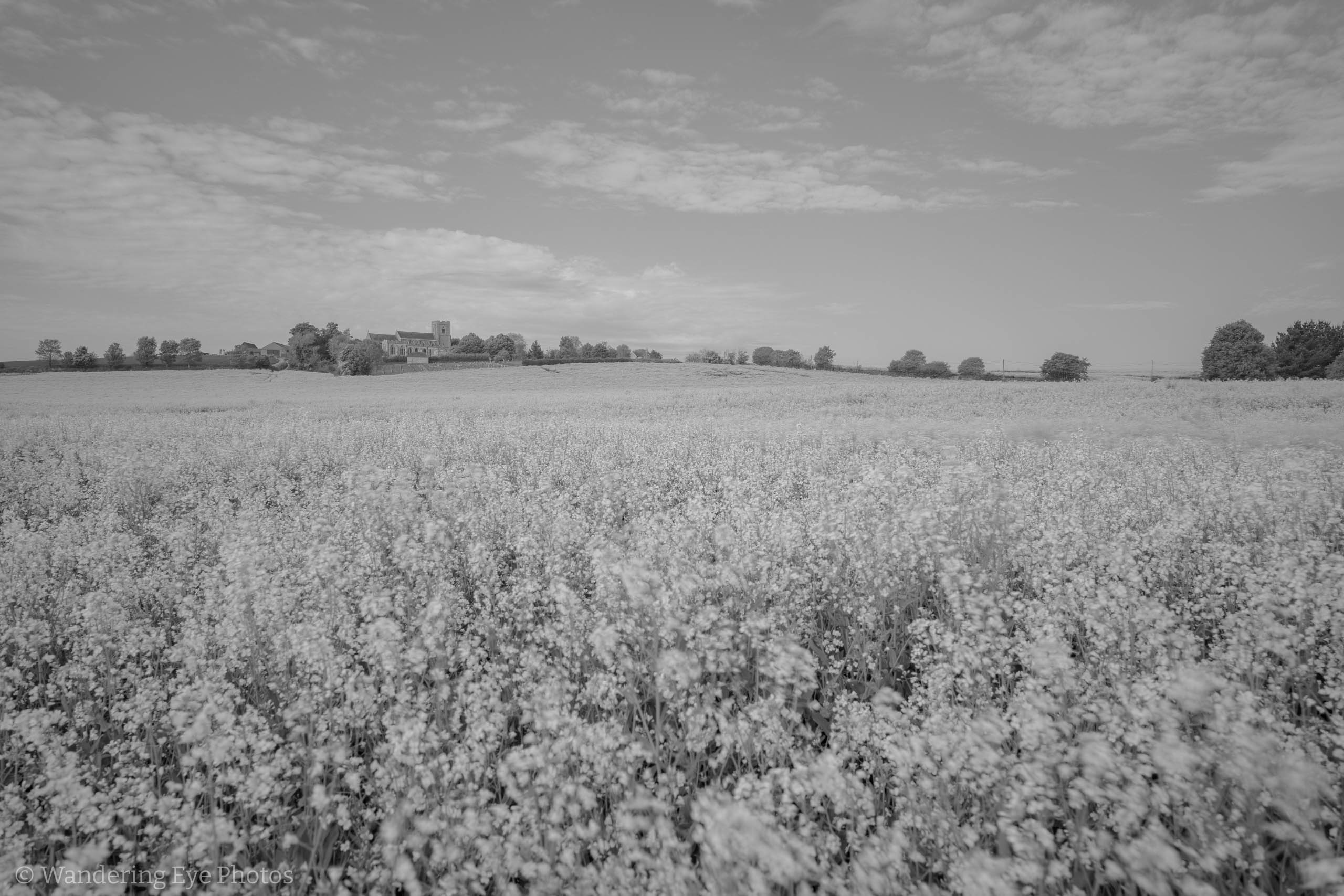 05.02 08.20.49   DSC09860